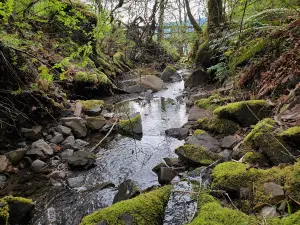 Joseph Stewart State Recreation Area