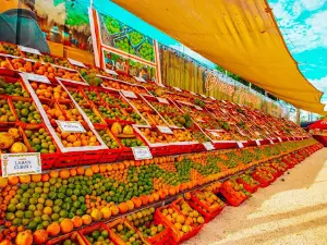 Feria de la naranja