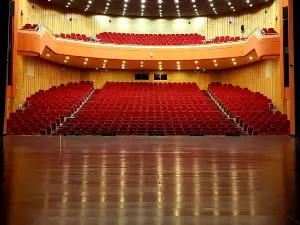 Southern Academy for the Performing Arts (SAPA)
