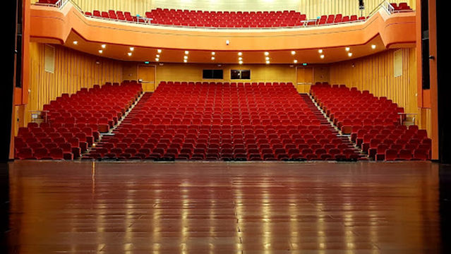 Southern Academy for the Performing Arts (SAPA)