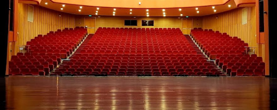 Southern Academy for the Performing Arts (SAPA)
