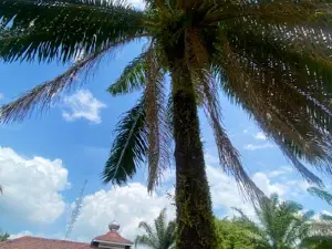Masjid Darul Hikmah