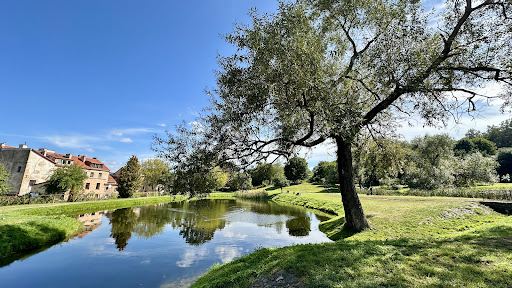 Subačiaus apžvalgos aikštelė