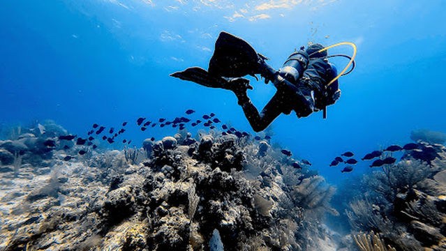 Neptuno Diving Center. Centro de buceo
