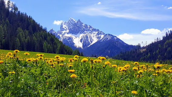 Braies