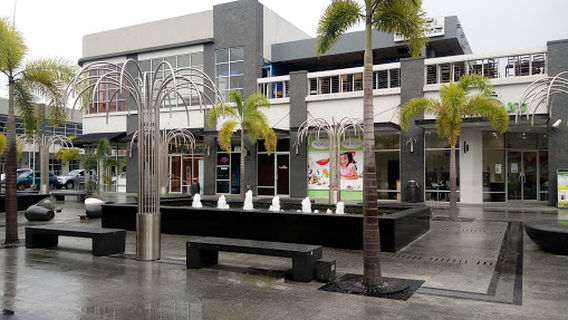 Talparo