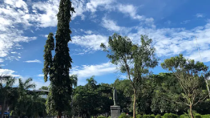 Thrissur Public Library