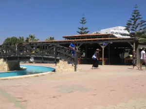 Aquapark Flipper