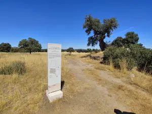 Castro De La Mesa De Miranda