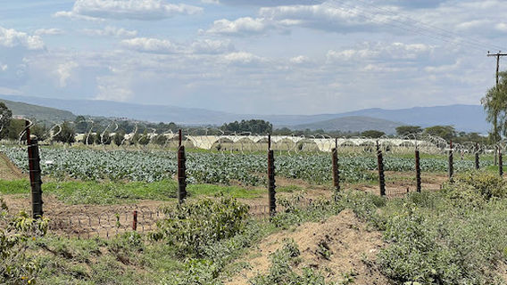 Sulmac Village