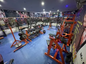 Mr Gym