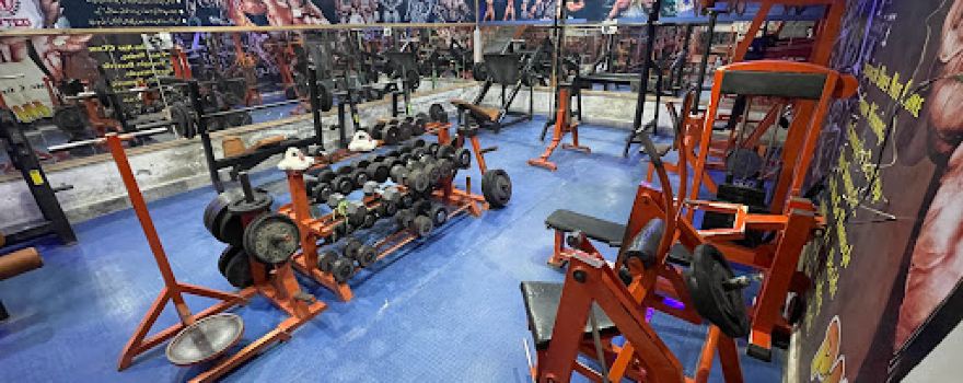 Mr Gym