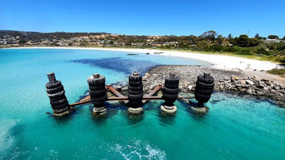 Lloyd Collins Reserve