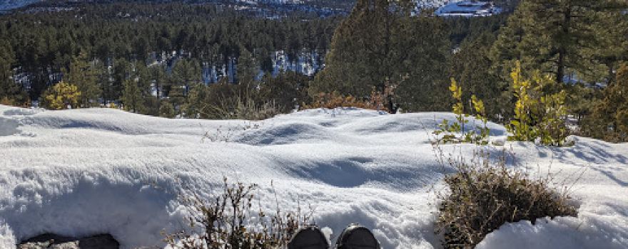 AZT Pine Trailhead