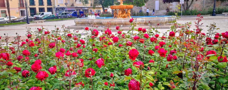 Fuente de los Leones