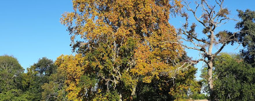 Parc du Château