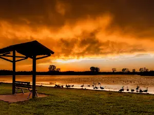 Lakeland Park