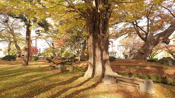 Keyaki Park