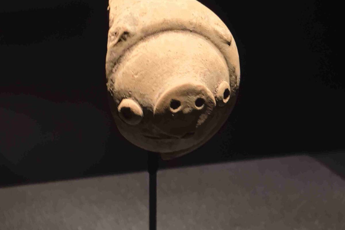 三星堆博物館 | 陶豬