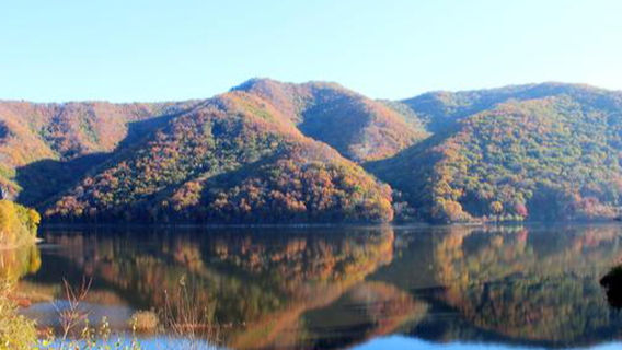 Birch Garden Scenic Area