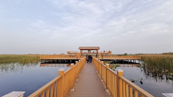 Baiyangdian Corridor