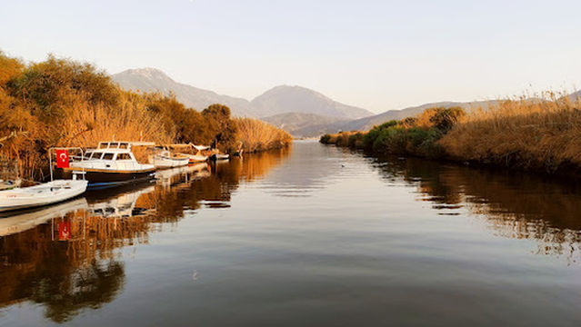Çalış Plajı Kuş Cenneti