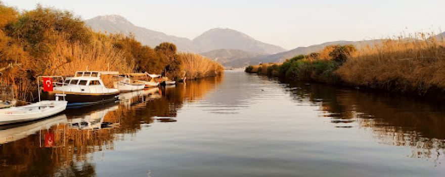 Calis Beach Bird Sanctuary