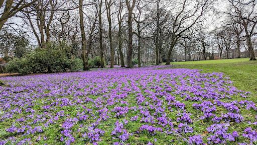 Manor Heath Park