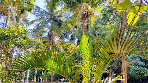 Adolfo Ruíz Cortinez Ecological Park