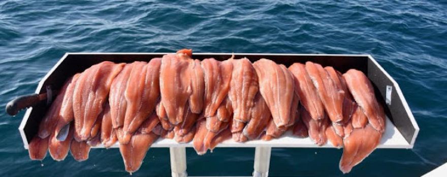 School's Out Sport Fishing LLC