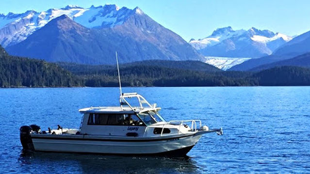 The Local Guy Charters & Sightseeing