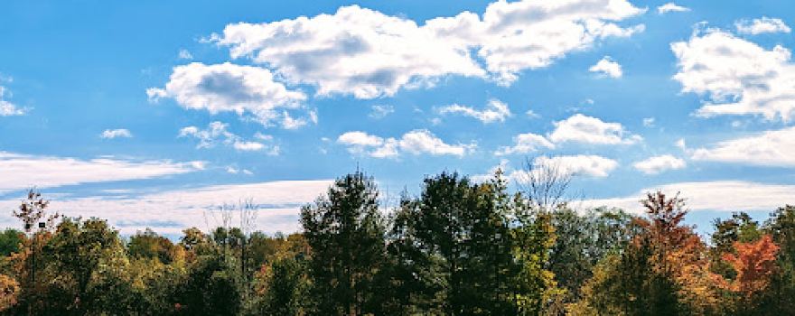 Indian Meadows Park