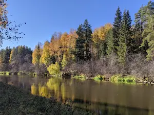 Gora Medved'-Kamen'