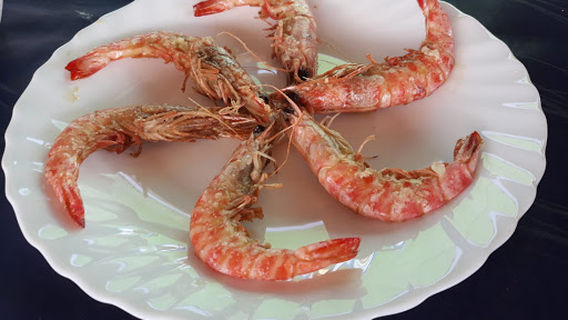 Musclera l'avi Agusti