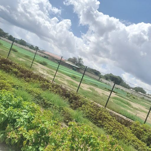 Tiket pesawat Hargeisa Erigavo