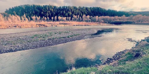 斯旺瓦利
