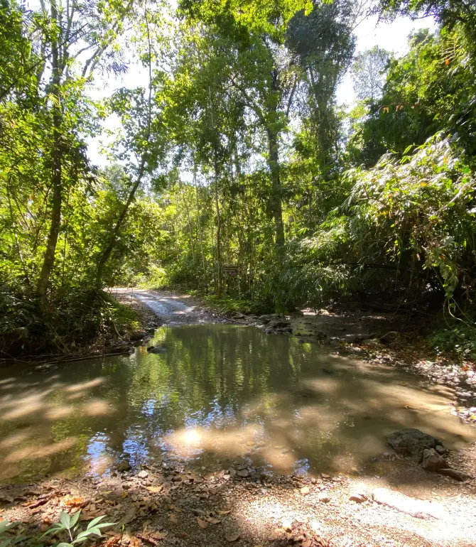 Kaeng Krachan