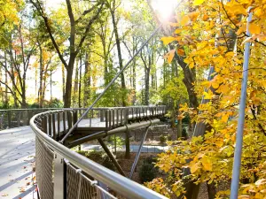 Popular Fall Viewing Attractions in Atlanta