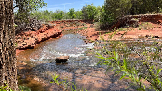 Martin Park Nature Center