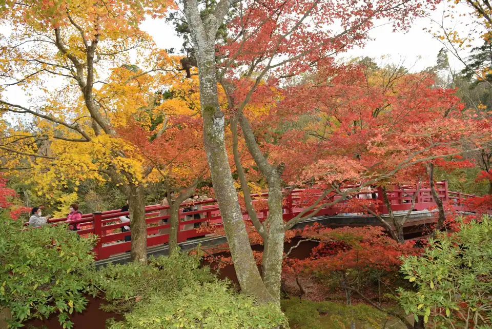 2_Yahiko Park