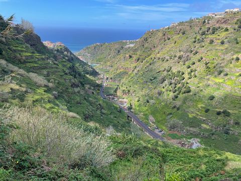 Levada do Moinho