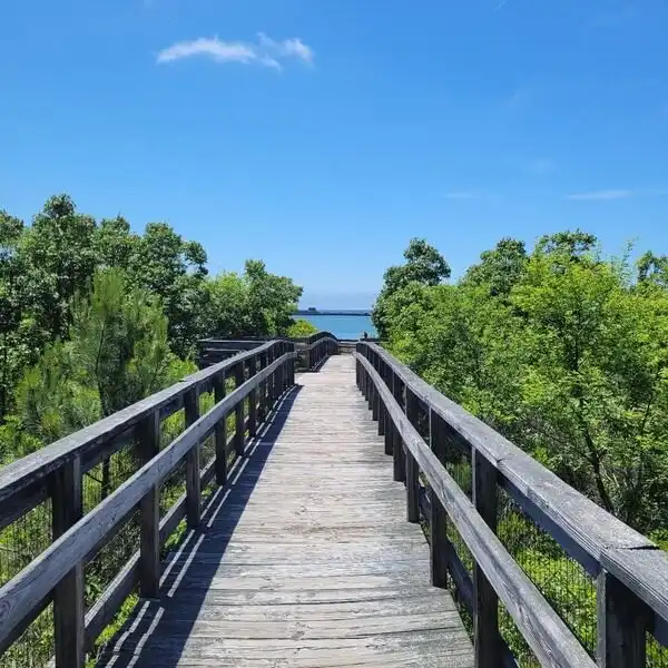 Hotels near Kiptopeke State Park