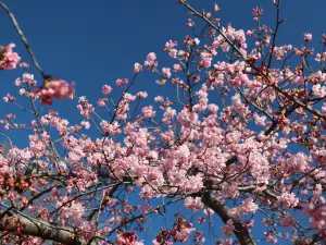 宇都宮城址公園