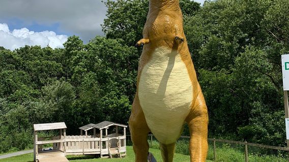 The Dinosaur Park Tenby