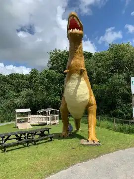 The Dinosaur Park Tenby