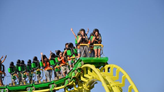 CavallinoMatto