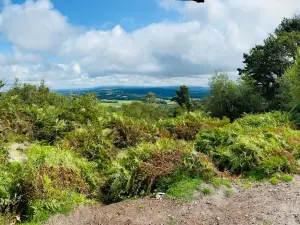 National Trust - Hindhead Commons and the Devil's Punch Bowl Cafe