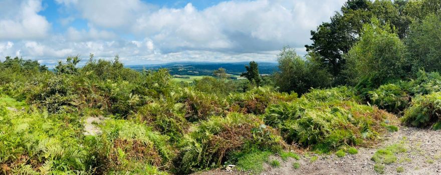 National Trust - Hindhead Commons and the Devil's Punch Bowl Cafe
