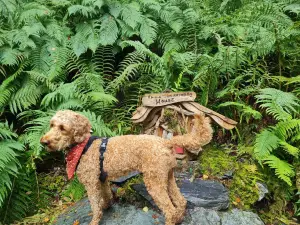 Loch Lomond Faerie Trail