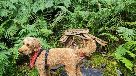 Loch Lomond Faerie Trail